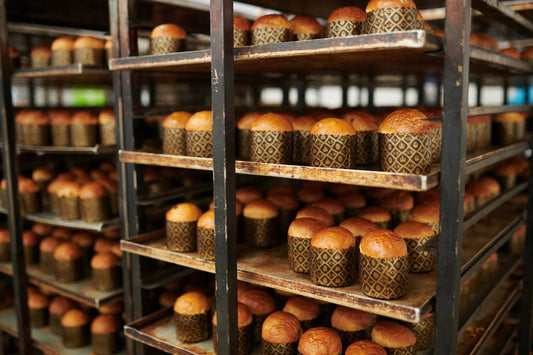 Forno per grandi lievitati: cosa valutare per panettoni, colombe e pandori